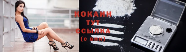 амф Богородицк