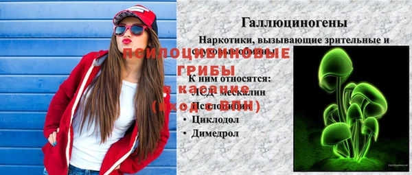 крисы Бородино