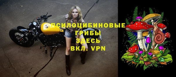 крисы Бородино