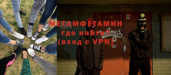 крисы Бородино