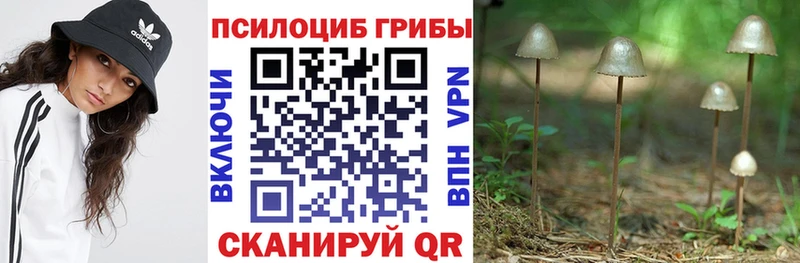 Псилоцибиновые грибы прущие грибы  MEGA маркетплейс  Мыски 